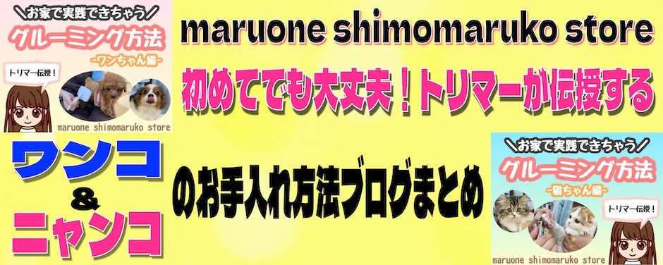 下丸子店スライド-お手入れブログまとめ
