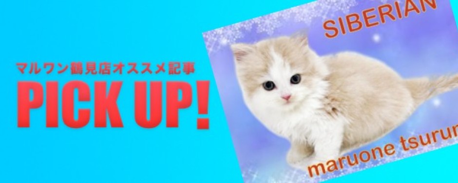 鶴見店ブログ-サイベリアン