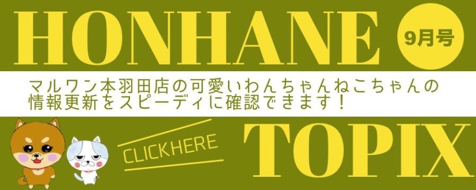 本羽田店ーホンハネトッピックス