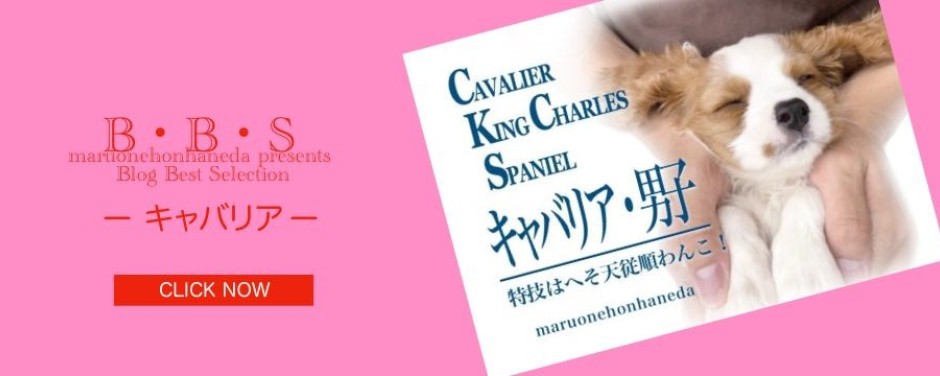 本羽田店スライド-キャバリア