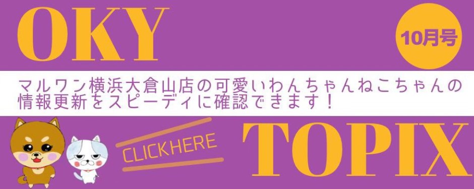 【 OOKURAYAMA トピックス10月版 】