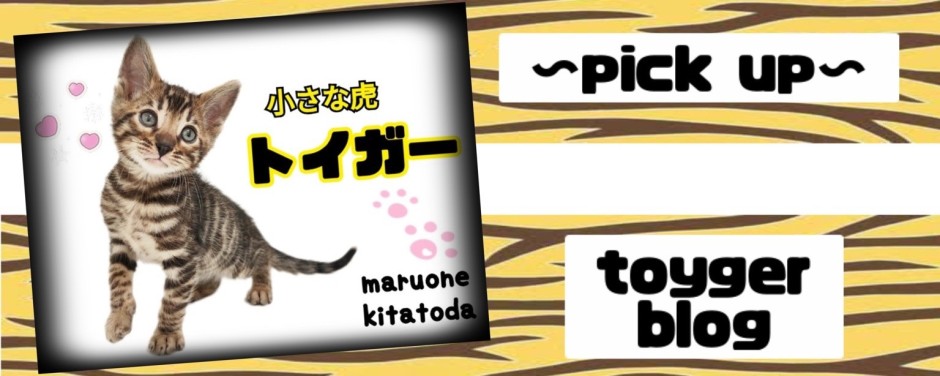 トイガー
