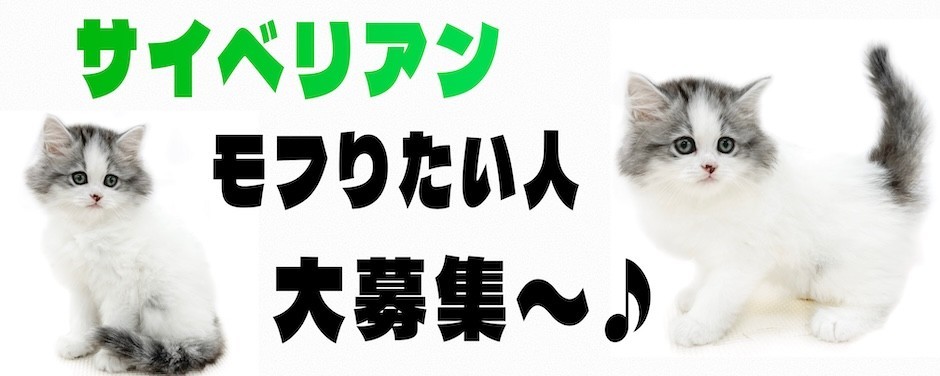 下丸子店ブログ‐サイベリアン