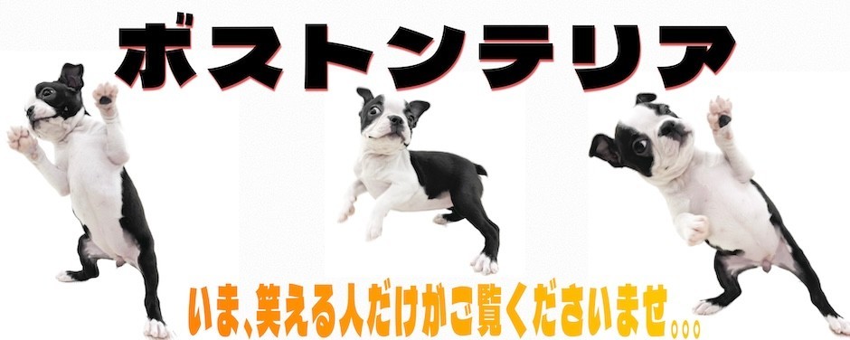 下丸子店‐ボストン