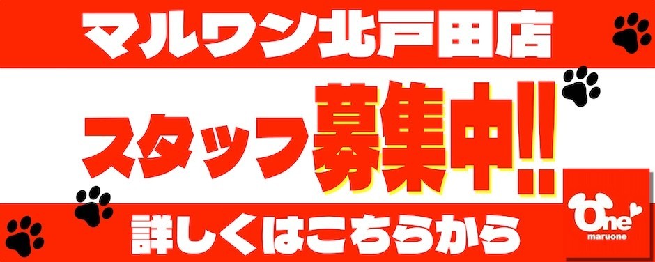 北戸田店スタッフ募集