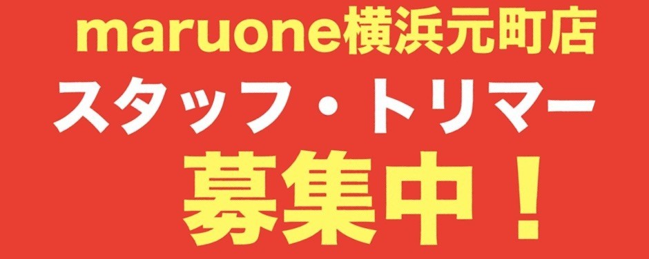 スタッフ募集