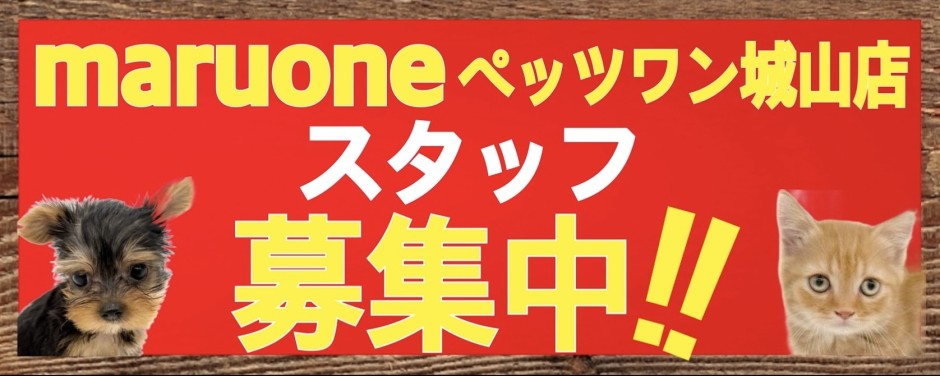 【 城山店スタッフ募集 】ワンちゃんネコちゃんのお世話&接客スタッフ募集中
