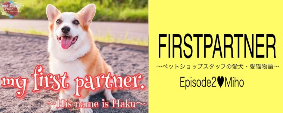 blogーファーストパートナーみぽ