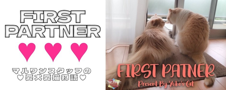 ファーストパートナー的場