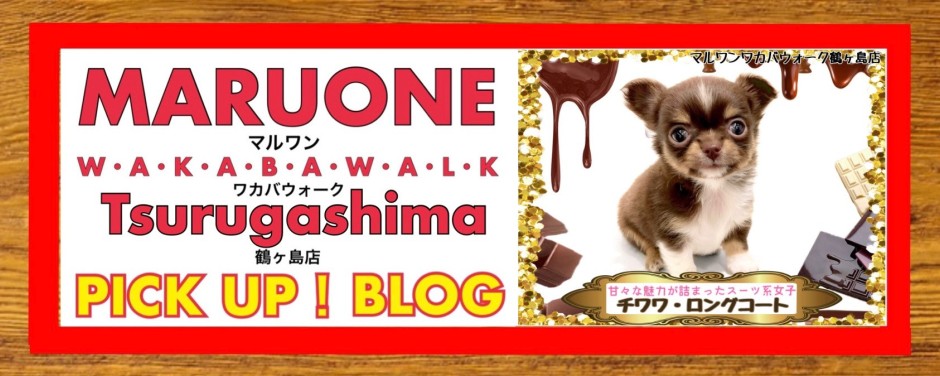 ワカバウォーク鶴ヶ島店 PICK UP BLOG DOG