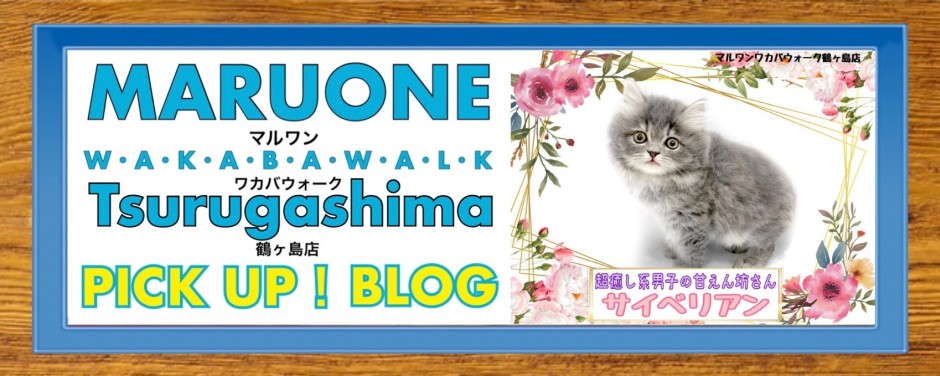 ワカバウォーク鶴ヶ島店 PICK UP BLOG CAT