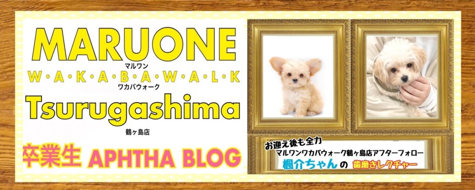 ワカバウォーク鶴ヶ島店 卒業生サポートブログ