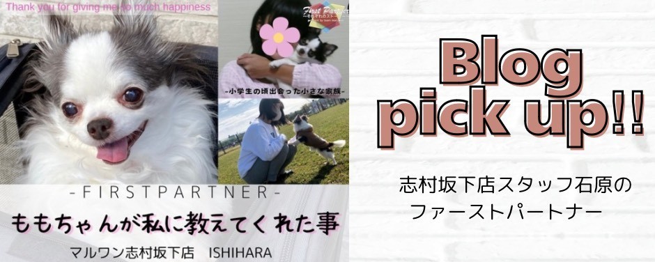 石原ファーストパートナー