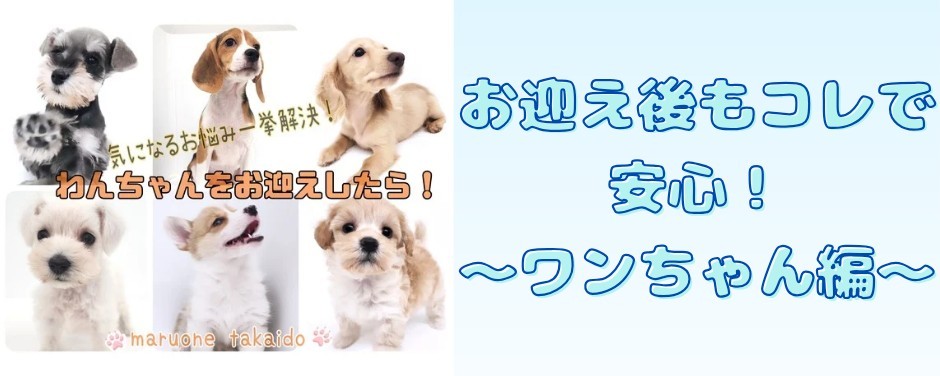 お迎え前のポイント子犬編
