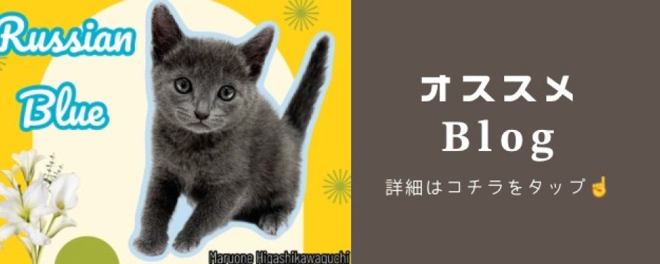東川口店ロシブ
