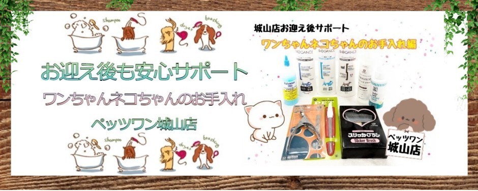 城山店ブログーお手入れ編
