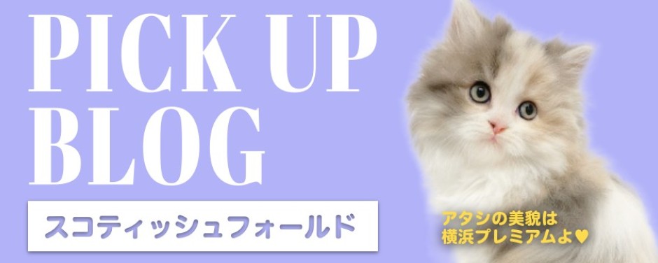 レビューースコ