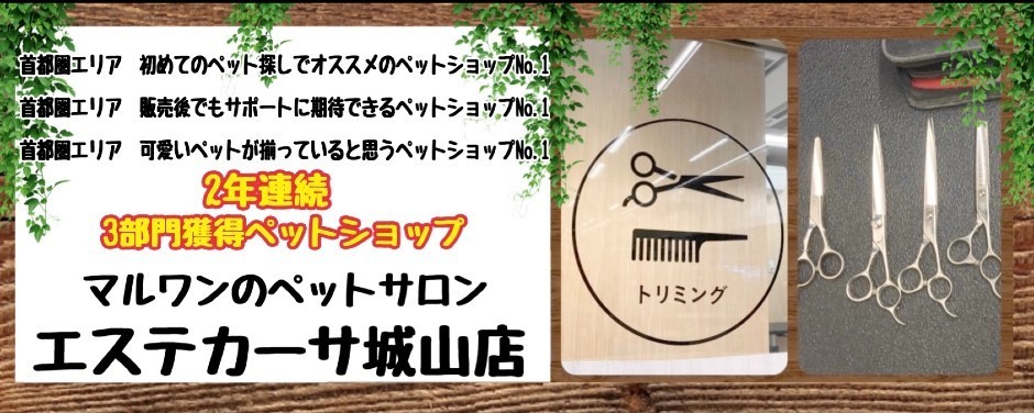 城山店のペットサロン＆ペットホテル紹介