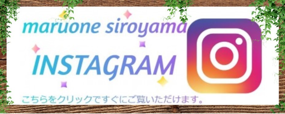 城山店ーInstagram