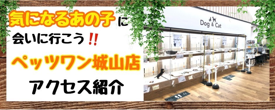 城山店アクセス