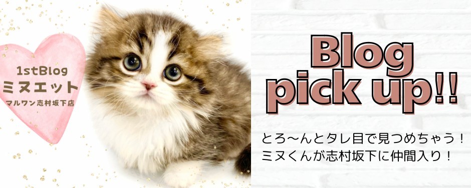 ミヌ