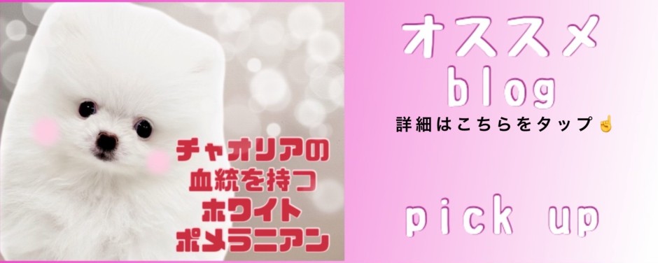 東川口店-blogーポメラニアン