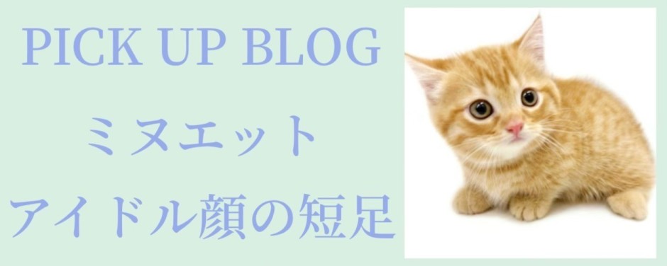 ミヌエットブログ