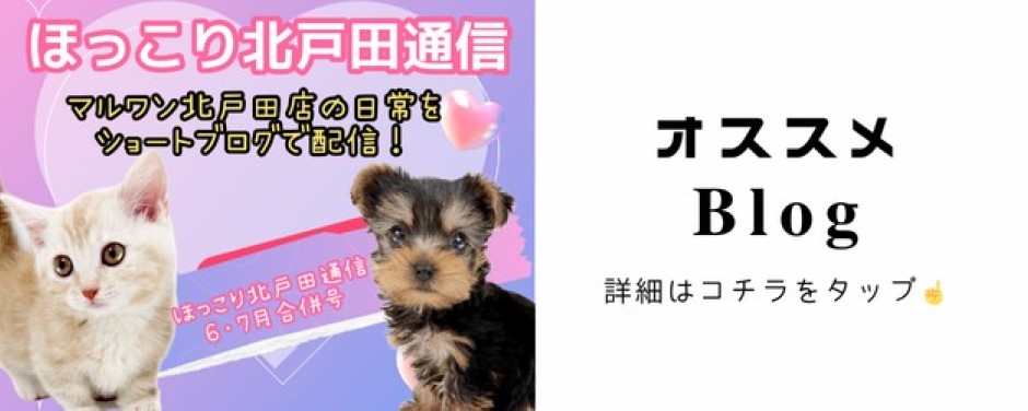 北戸田ほっこりまとめ