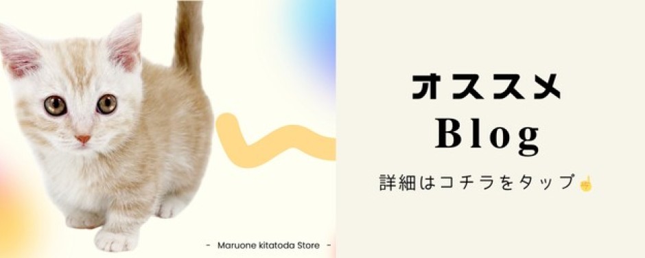 マンチカン
