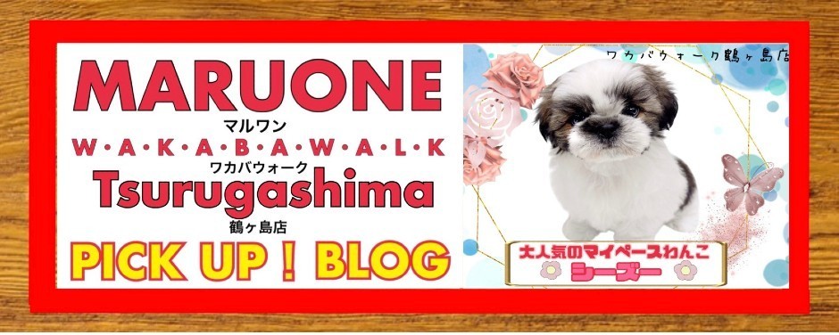 ワカバウォーク鶴ヶ島店 PICK UP BLOG DOG