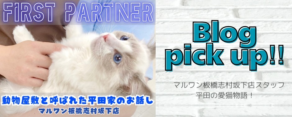 平田さんファーストパートナー