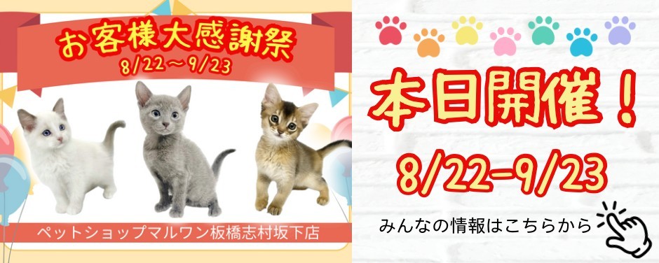感謝祭