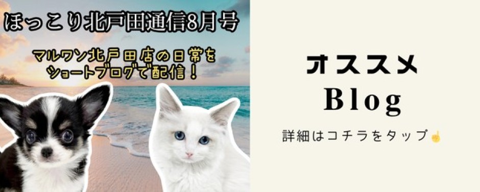 ほっこり最新まとめ