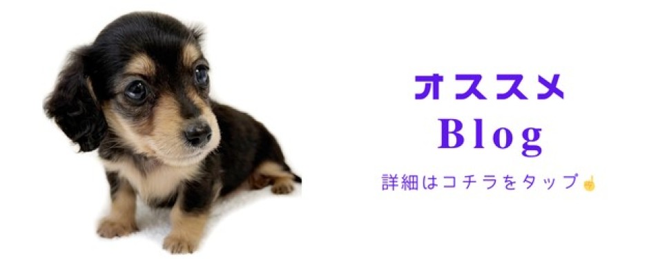 ダックス