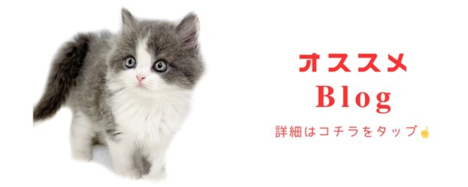 ブリティッシュロング