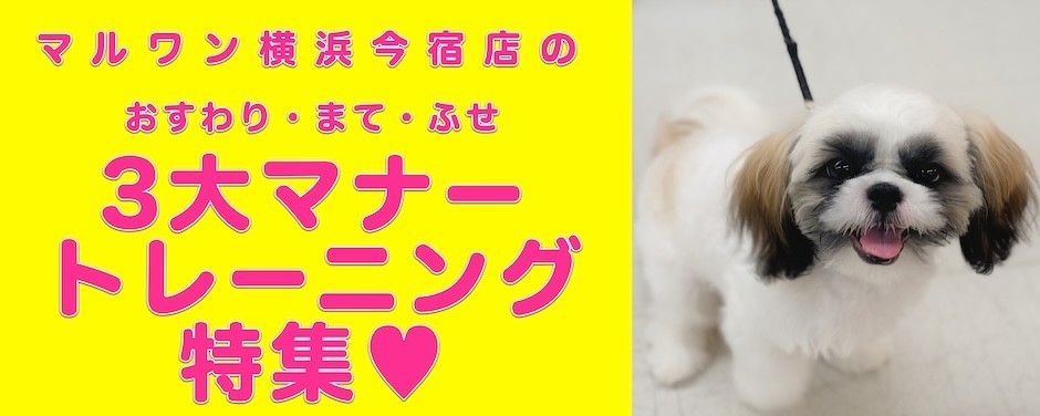 シーズースライド