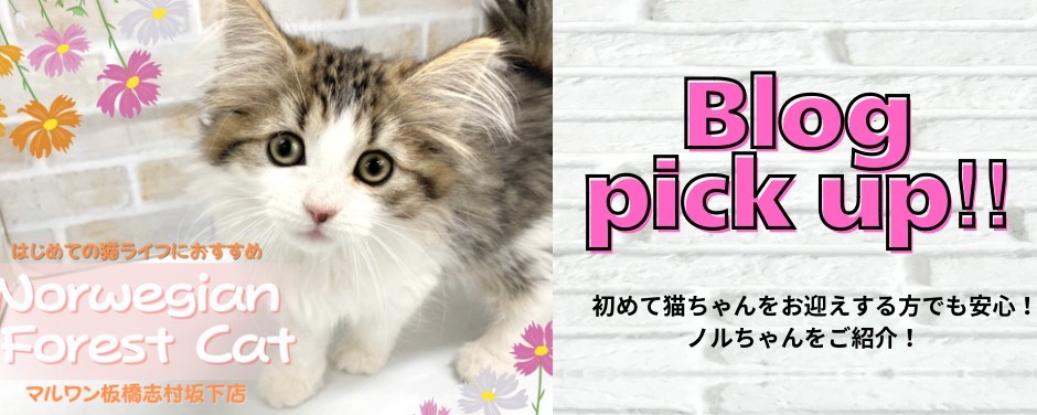 ノル
