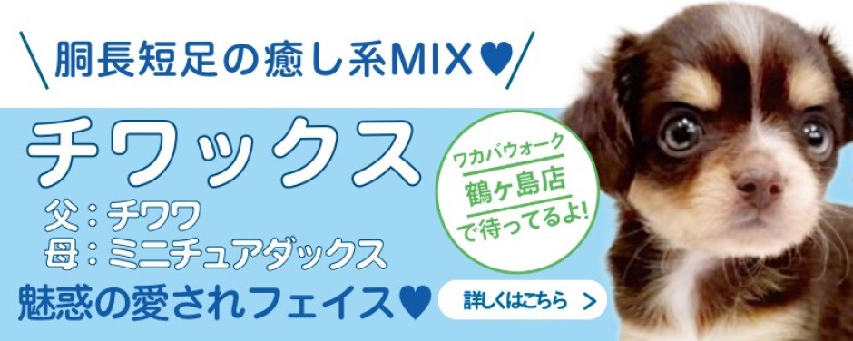 鶴ヶ島店オススメMIX