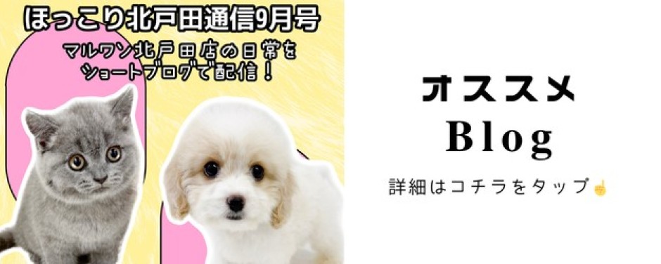 ほっこり最新まとめ