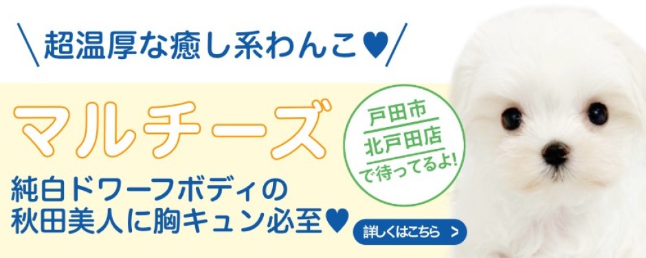 北戸田店おすすめベイビーマルチーズ