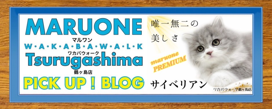 ワカバウォーク鶴ヶ島店 PICK UP BLOG DOG