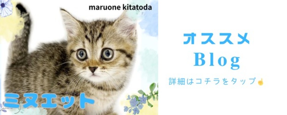 ミヌエット