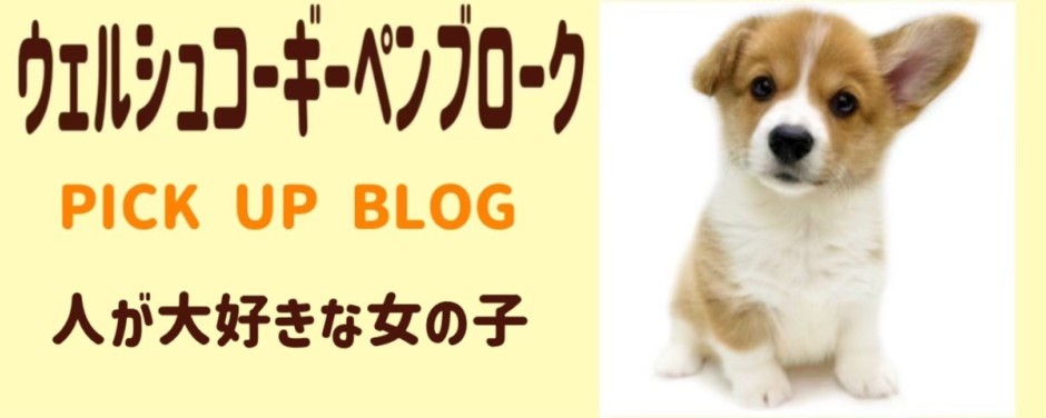 ウェルシュコーギーペンブロークブログ