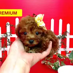 マルワンブログスタートしました！