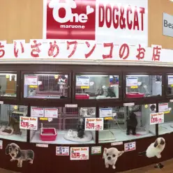 マルワン相模大塚店2周年を迎えて