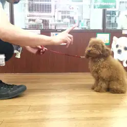 マルワン相模大塚店オリジナル！『マルワン塾』とは？！