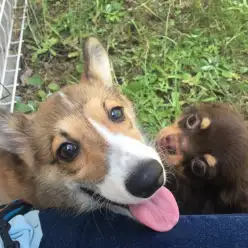 熱中症予防と対策について！