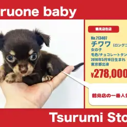 鶴見店オススメベイビー！（No.713407）