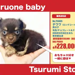 鶴見店オススメベイビー！No.713435