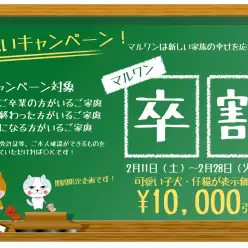お得情報：今がチャンス！！¥10,000キャッシュバックの「マルワン卒割」開始！